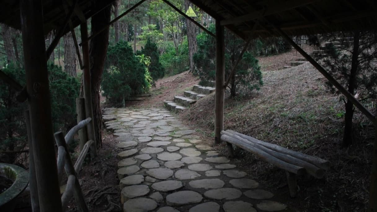 A garden bench and walking stick beside a garden path